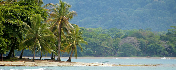 Study Spanish in Flamingo Beach, Costa Rica